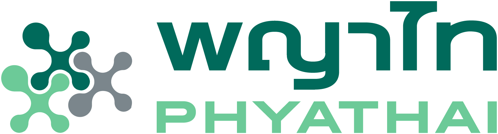 pyt logo